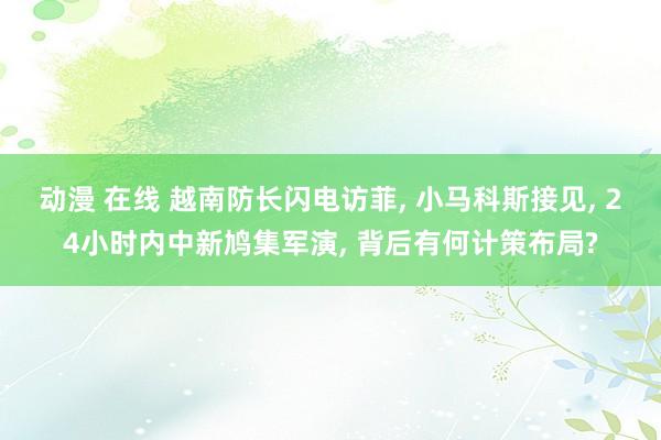动漫 在线 越南防长闪电访菲， 小马科斯接见， 24小时内中新鸠集军演， 背后有何计策布局?