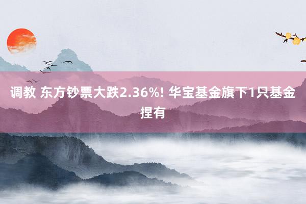 调教 东方钞票大跌2.36%! 华宝基金旗下1只基金捏有