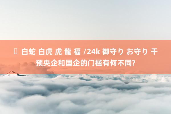 ✨白蛇 白虎 虎 龍 福 /24k 御守り お守り 干预央企和国企的门槛有何不同?