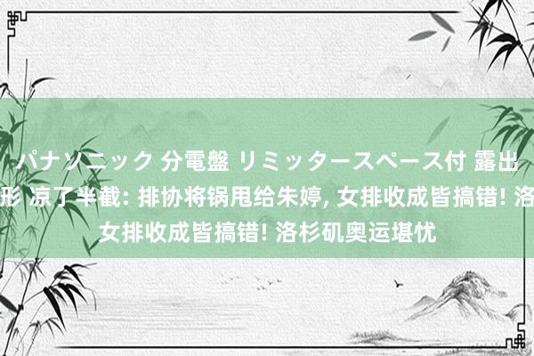 パナソニック 分電盤 リミッタースペース付 露出・半埋込両用形 凉了半截: 排协将锅甩给朱婷， 女排收成皆搞错! 洛杉矶奥运堪忧